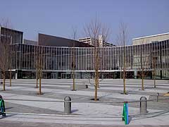 s080326a.jpg