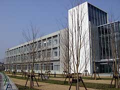 s080326b.jpg