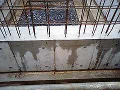 s080928b.jpg