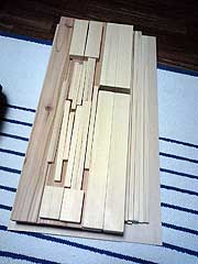 s081005b.jpg