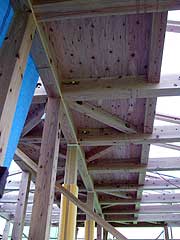 s081212e.jpg
