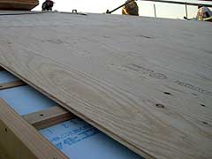 s081223c.jpg