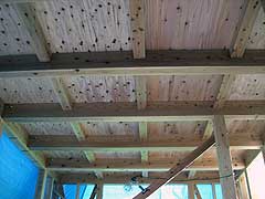 s081223f.jpg