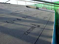 s081229e.jpg