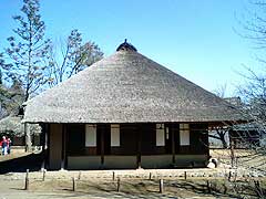 s090303d.jpg