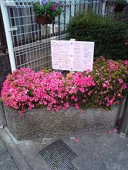 s090528b.jpg