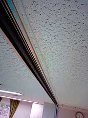 s090528d.jpg