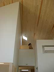 s100409d.jpg