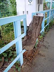 s100612f.jpg