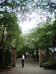 s100704b.jpg