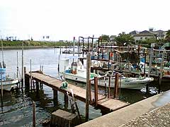 s101117c.jpg