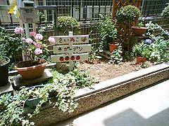 s101229b.jpg