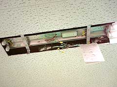 s101229e.jpg