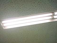 s101229f.jpg
