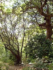 s110524b.jpg