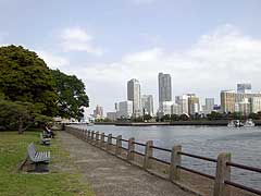 s110524c.jpg