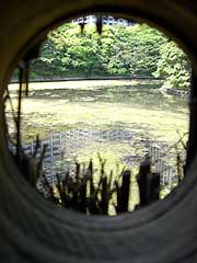 s110524i.jpg