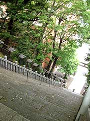 s110525b.jpg