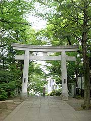 s110525d.jpg