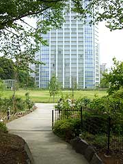 s110525f.jpg