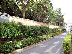 s110818a.jpg