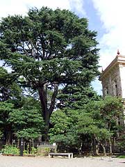 s110818c.jpg