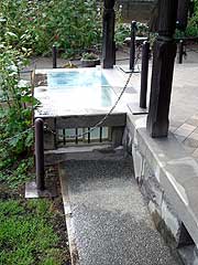 s110818i.jpg