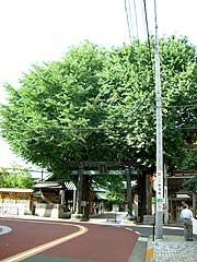 s110819d.jpg