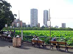 s110819g.jpg