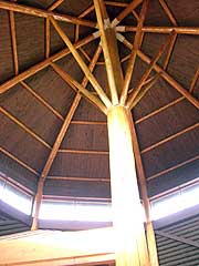 s110908e.jpg