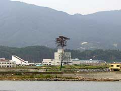 s110914f.jpg