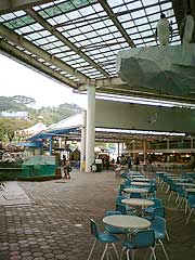 s110915e.jpg