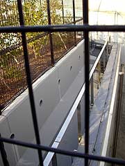 s111220f.jpg