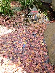 s120129i.jpg