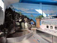 s120214f.jpg