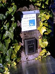 s121213c.jpg