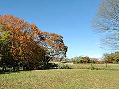 s140107a.jpg