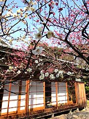 s140317e.jpg