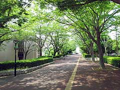 s140709d.jpg