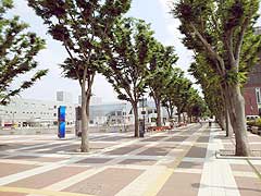 s140709e.jpg