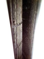 s140730b.jpg