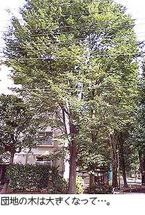 s150722.jpg