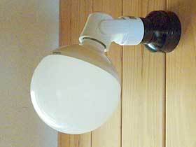 s151129e.jpg