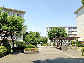 s170530a.jpg