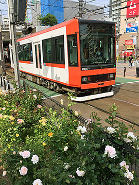 s190516d.jpg
